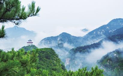 我市召开“九小”场所消防安全综合治理行动暨春节消防安全保卫工作动员部署会