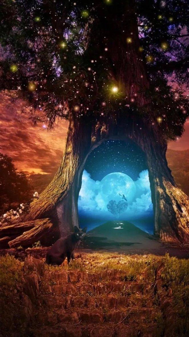 插画喵的课程怎样?-专业蜗牛问答平台